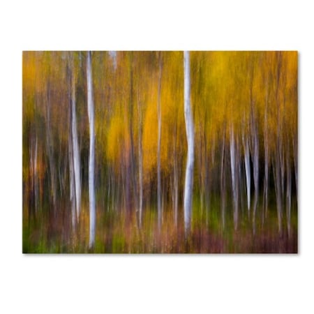 Andreas Christensen 'Abstract Fall' Canvas Art,24x32